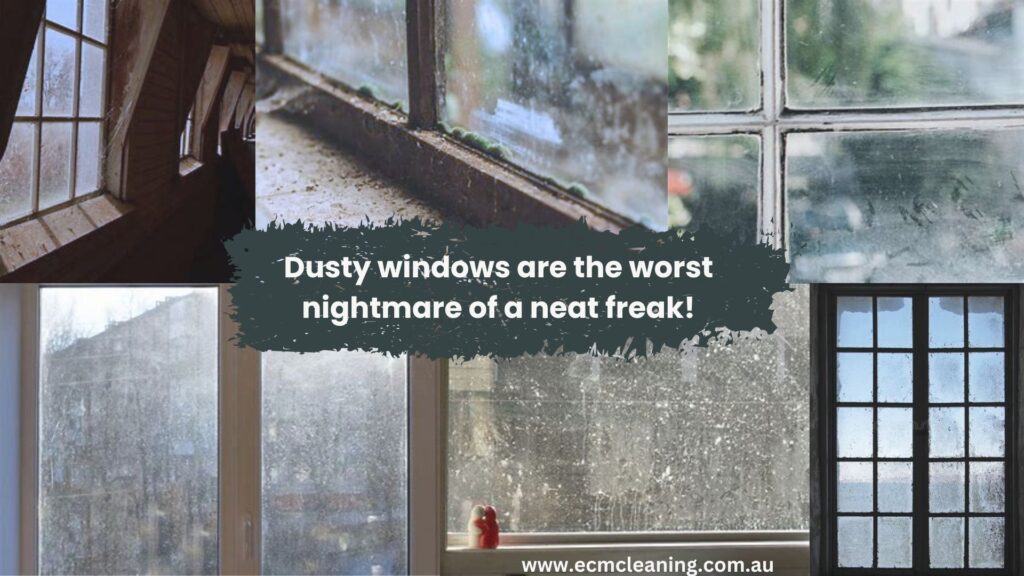 window cleaning services