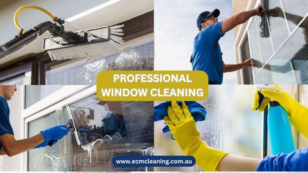 window cleaning services