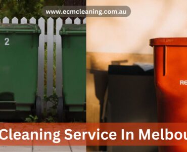 bin cleaning service