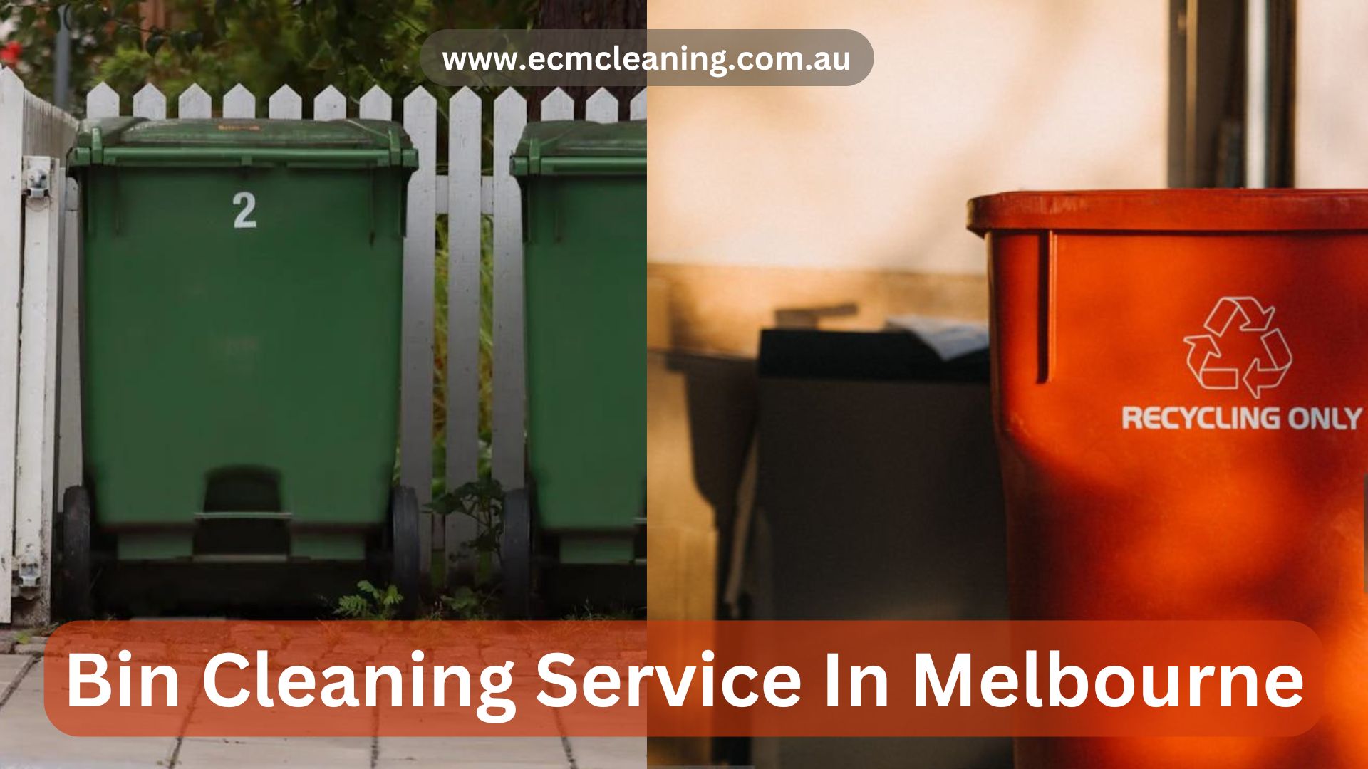 bin cleaning service