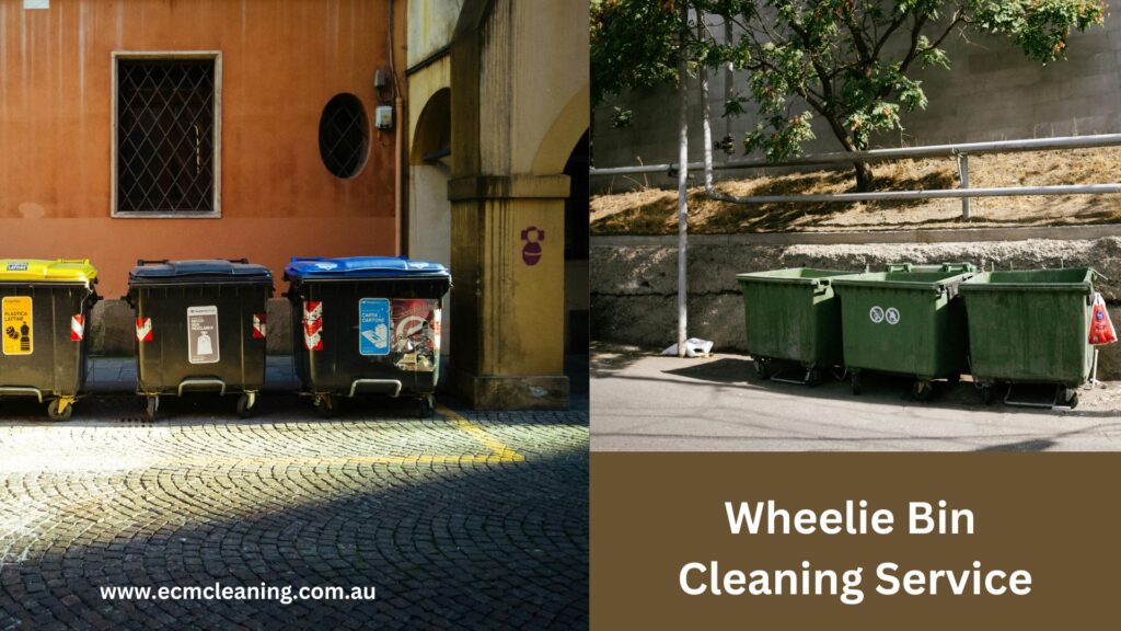 bin cleaning service