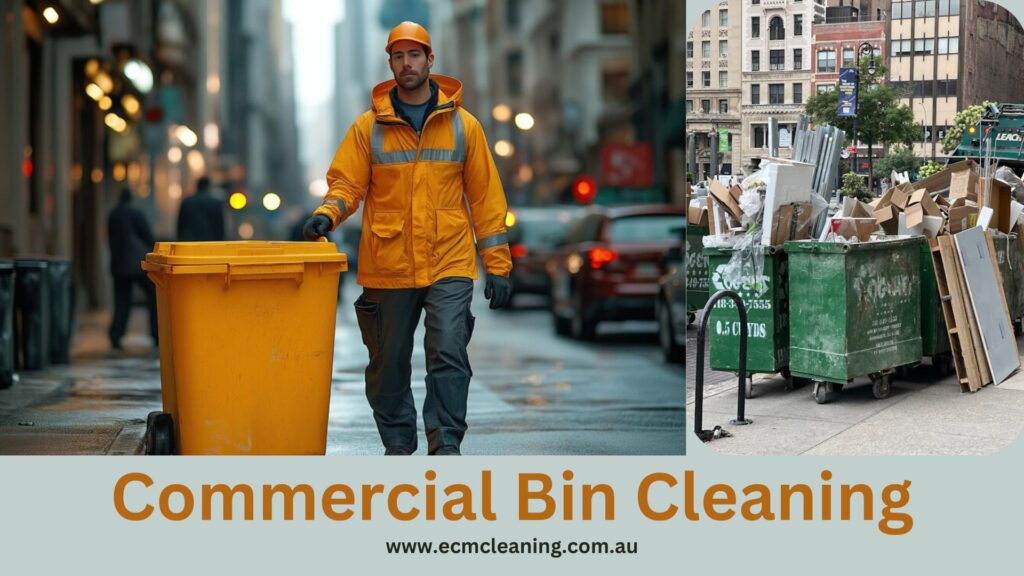 bin cleaning service