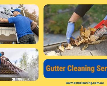 gutter cleaning services