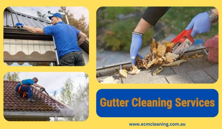 gutter cleaning services