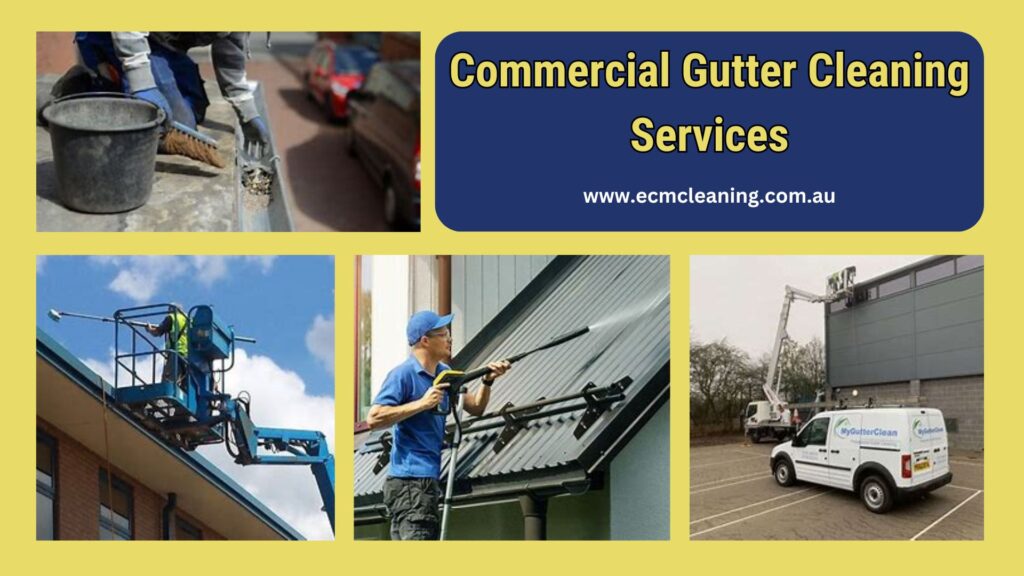 gutter cleaning services