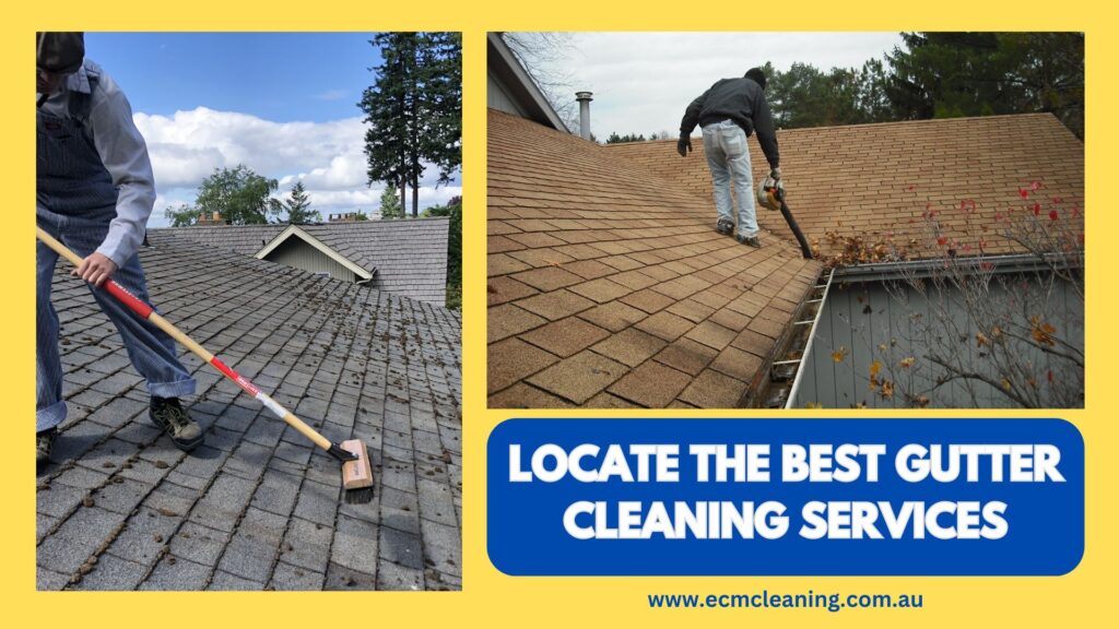 gutter cleaning services