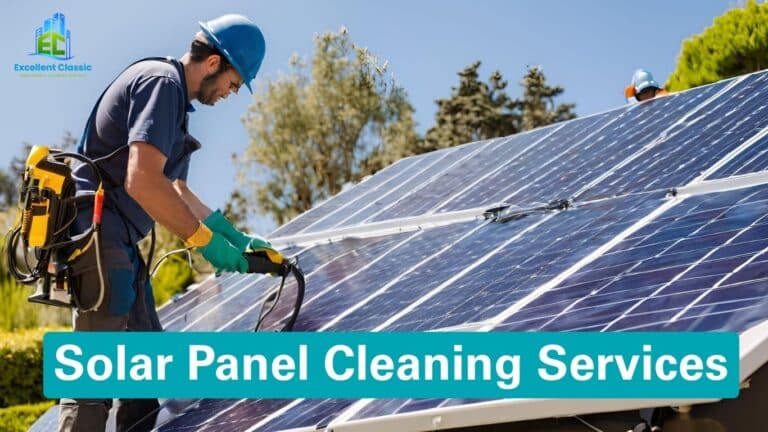 Solar Panel Cleaning Services